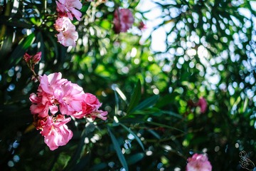 IMG_3999.jpg
