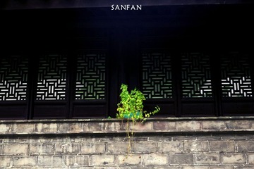 IMG_9939a.jpg