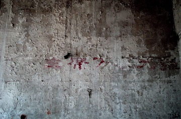 DSC_3219.NEF.jpg
