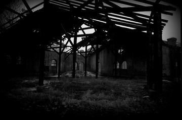 DSC_3322.NEF.jpg