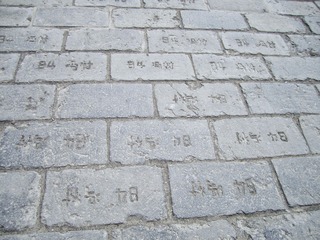 2360629