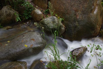 溪流