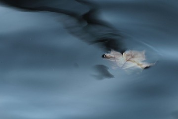 IMG_3853.JPG