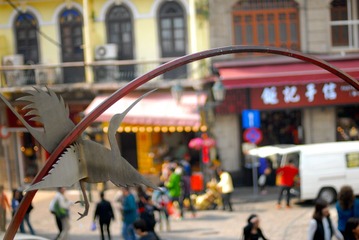 HQX_2897.JPG