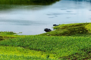DSC00159_2