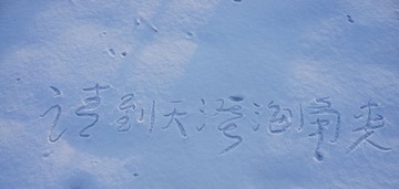 DSC03574_1.jpg