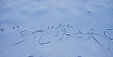 DSC03578_1.jpg
