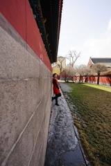 DSC07028_1.jpg
