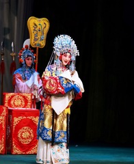 DSC07481_1_1.jpg