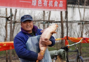 DSC00129_1.jpg
