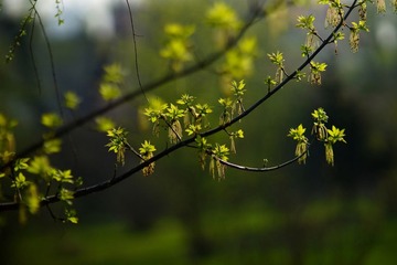 DSC01436_1.jpg
