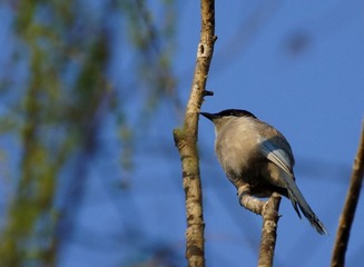 DSC02553_1.jpg