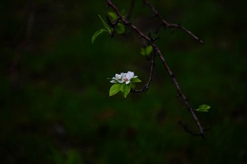 DSC01522_1.jpg