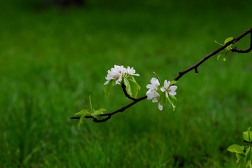 DSC01806_1.jpg