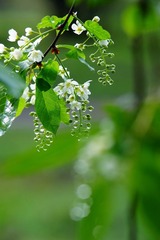 DSC01838_1.jpg