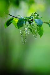 DSC01857_1.jpg