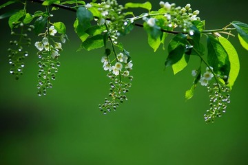 DSC01880_1.jpg