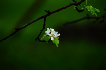 DSC01894_1.jpg