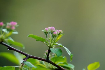 DSC01945_1.jpg
