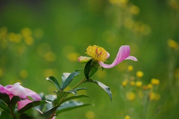 DSC00124_1.jpg