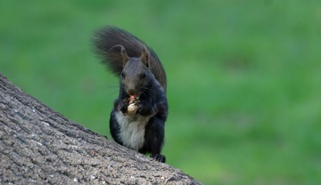 DSC02993_1