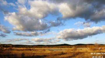 IMG_5152~~