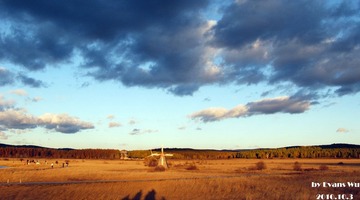 IMG_5198~~