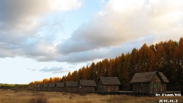 IMG_5199~~
