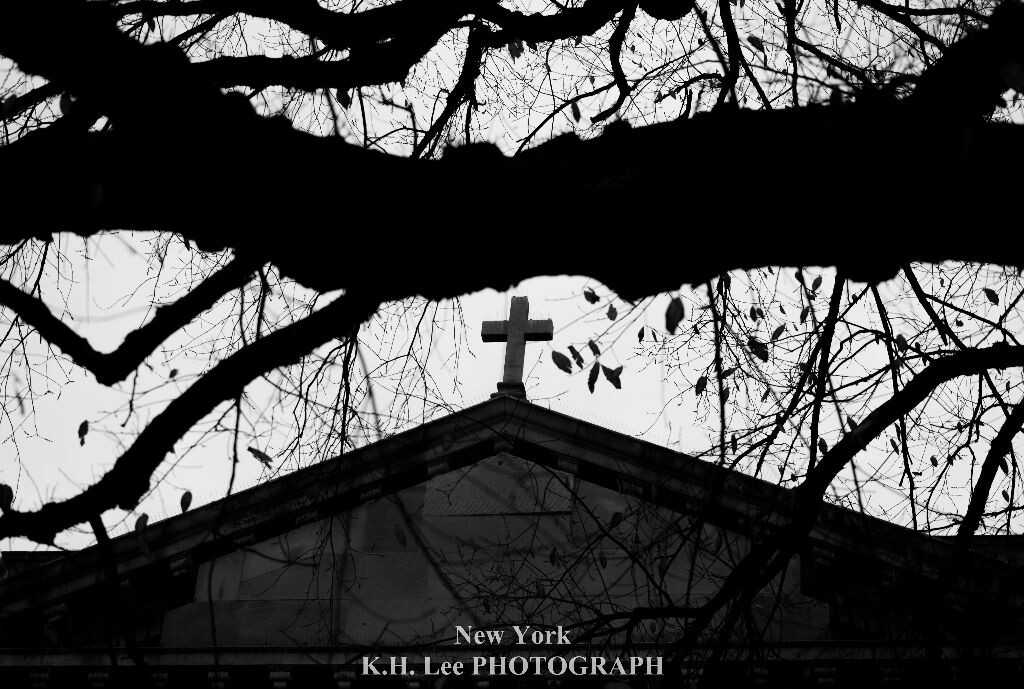 Cross