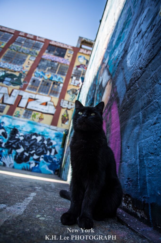 最后的Five Pointz