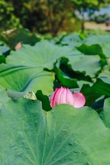 001