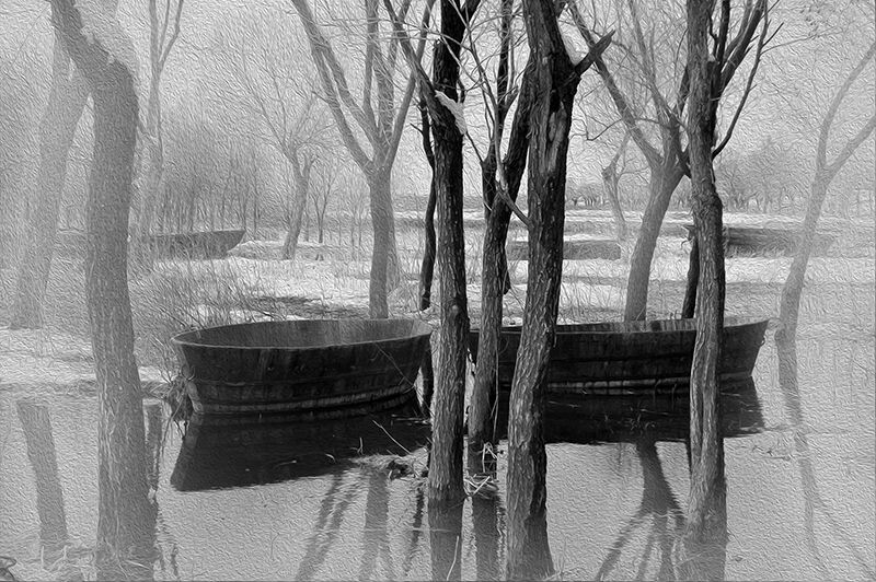 巢湖湿地雪景DSC_0021号作品<br />
