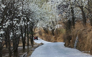 20130320_807.jpg