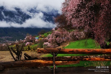 20120330_801
