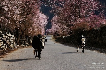 20120330_902