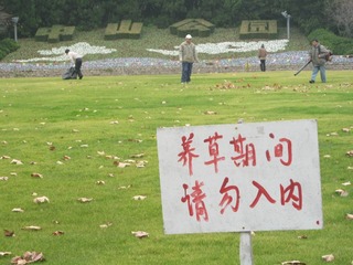 IMG_4270.JPG