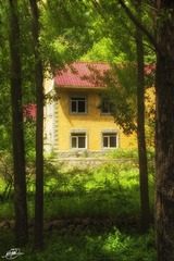 林间小屋 +LOGO LQ
