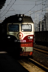 DSC07849.jpg