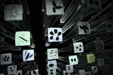 DPP_0180