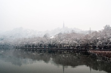 DSC_0523.jpg