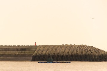 DSC_0826-2.jpg