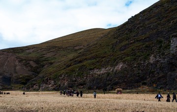 DSC_0358.jpg