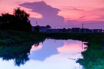 DSC_0449.jpg