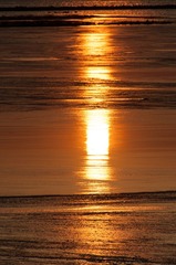 DSC_0030.jpg