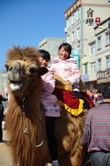 DSC_4113.jpg