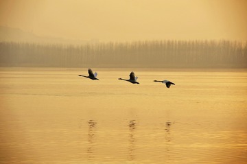 _DSC6521