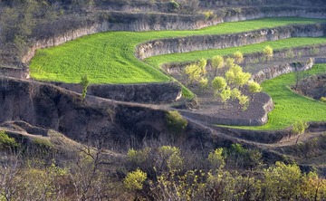 DSC_3692.jpg