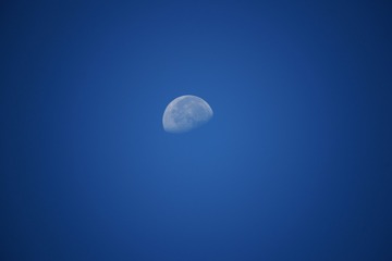 1408175