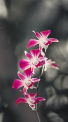 0A09780D-BC74-4F4A-9EA0-13436F4A09FF/L0/001