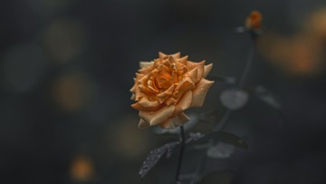 6D6061E1-D79B-4AF6-A7DD-88C55CB815A5/L0/001